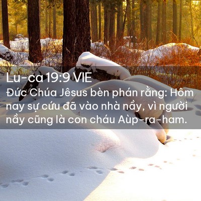 Picture 02 - Lu-ca 19:9 VIE - Đức Chúa Jêsus bèn phán rằng: Hôm nay - Bible Verse Picture