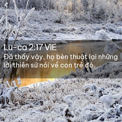 Picture 02 - Lu-ca 2:17 VIE - Đã thấy vậy, họ bèn thuật lại - Bible Verse Picture