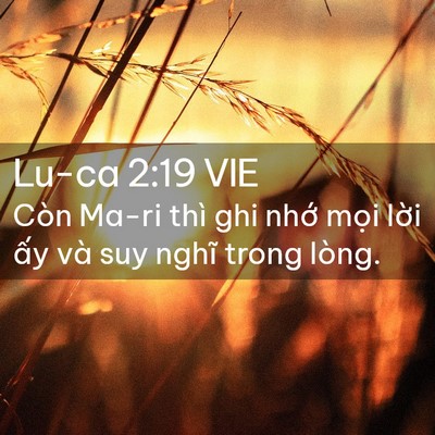 Picture 02 - Lu-ca 2:19 VIE - Còn Ma-ri thì ghi nhớ mọi lời ấy và - Bible Verse Picture