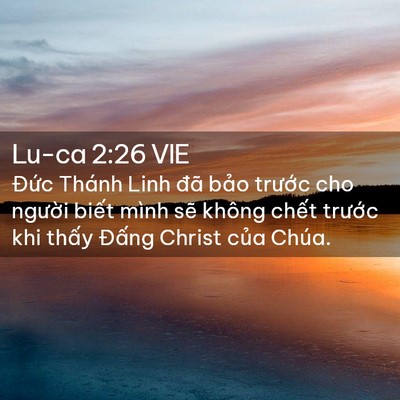 Picture 02 - Lu-ca 2:26 VIE - Đức Thánh Linh đã bảo trước cho - Bible Verse Picture