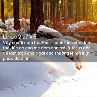 Picture 02 - Lu-ca 2:27 VIE - Vậy người cảm bởi Đức Thánh Linh - Bible Verse Picture