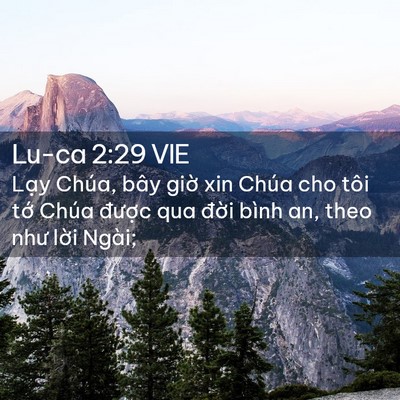 Picture 02 - Lu-ca 2:29 VIE - Lạy Chúa, bây giờ xin Chúa cho tôi tớ - Bible Verse Picture