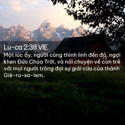 Picture 02 - Lu-ca 2:38 VIE - Một lúc ấy, người cũng thình lình - Bible Verse Picture