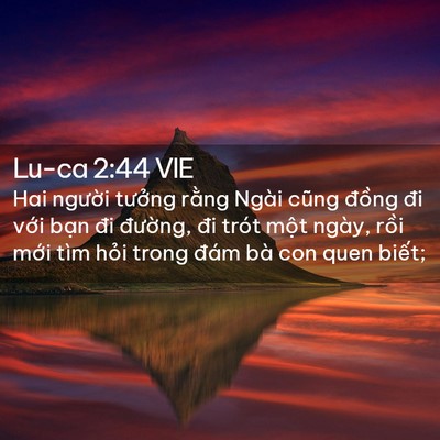 Picture 02 - Lu-ca 2:44 VIE - Hai người tưởng rằng Ngài cũng đồng - Bible Verse Picture