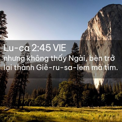 Picture 02 - Lu-ca 2:45 VIE - nhưng không thấy Ngài, bèn trở lại - Bible Verse Picture