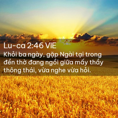 Picture 02 - Lu-ca 2:46 VIE - Khỏi ba ngày, gặp Ngài tại trong đền - Bible Verse Picture
