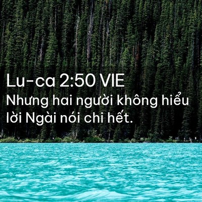 Picture 02 - Lu-ca 2:50 VIE - Nhưng hai người không hiểu lời Ngài - Bible Verse Picture