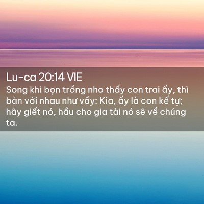 Picture 02 - Lu-ca 20:14 VIE - Song khi bọn trồng nho thấy con trai ấy, - Bible Verse Picture
