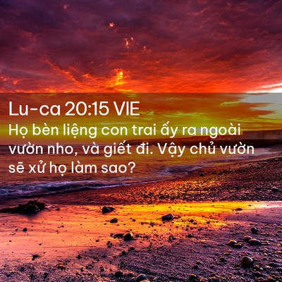 Picture 02 - Lu-ca 20:15 VIE - Họ bèn liệng con trai ấy ra ngoài vườn - Bible Verse Picture