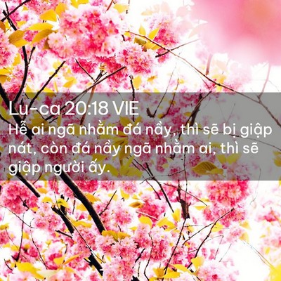 Picture 02 - Lu-ca 20:18 VIE - Hễ ai ngã nhằm đá nầy, thì sẽ bị - Bible Verse Picture