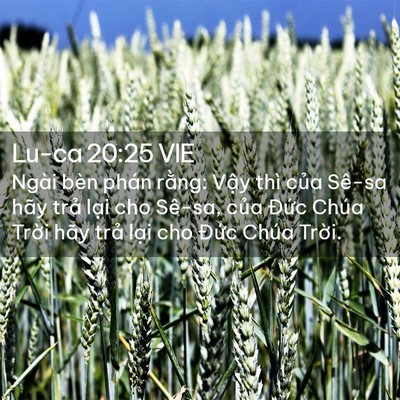 Picture 02 - Lu-ca 20:25 VIE - Ngài bèn phán rằng: Vậy thì của Sê-sa - Bible Verse Picture