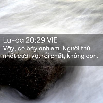 Picture 02 - Lu-ca 20:29 VIE - Vậy, có bảy anh em. Người thứ nhất - Bible Verse Picture