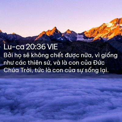Picture 02 - Lu-ca 20:36 VIE - Bởi họ sẽ không chết được nữa, vì - Bible Verse Picture