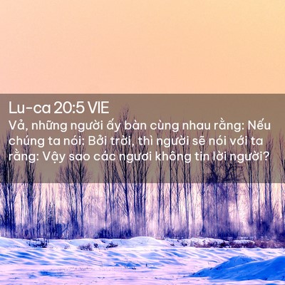 Picture 02 - Lu-ca 20:5 VIE - Vả, những người ấy bàn cùng nhau - Bible Verse Picture
