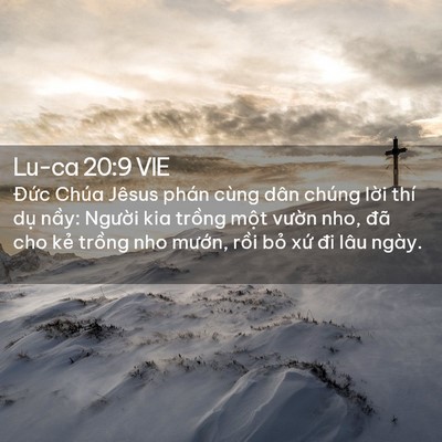 Picture 02 - Lu-ca 20:9 VIE - Đức Chúa Jêsus phán cùng dân chúng lời - Bible Verse Picture