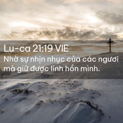 Picture 02 - Lu-ca 21:19 VIE - Nhờ sự nhịn nhục của các ngươi mà - Bible Verse Picture