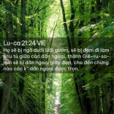 Picture 02 - Lu-ca 21:24 VIE - Họ sẽ bị ngã dưới lưỡi gươm, sẽ - Bible Verse Picture