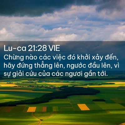 Picture 02 - Lu-ca 21:28 VIE - Chừng nào các việc đó khởi xảy - Bible Verse Picture