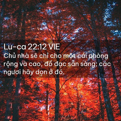 Picture 02 - Lu-ca 22:12 VIE - Chủ nhà sẽ chỉ cho một cái phòng - Bible Verse Picture