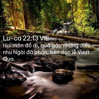Picture 02 - Lu-ca 22:13 VIE - Hai môn đồ đi, quả gặp những điều - Bible Verse Picture