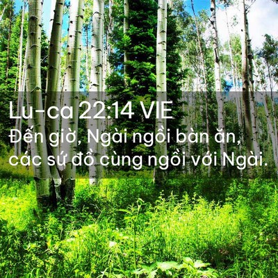 Picture 02 - Lu-ca 22:14 VIE - Đến giờ, Ngài ngồi bàn ăn, các sứ - Bible Verse Picture