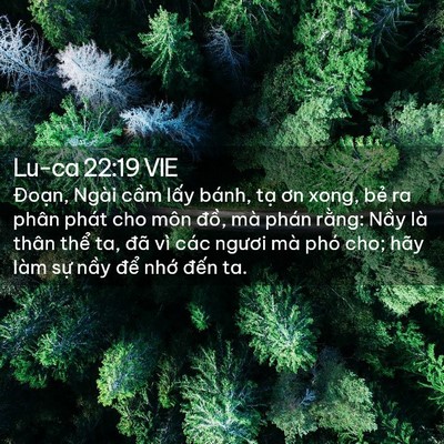 Picture 02 - Lu-ca 22:19 VIE - Đoạn, Ngài cầm lấy bánh, tạ ơn xong, - Bible Verse Picture