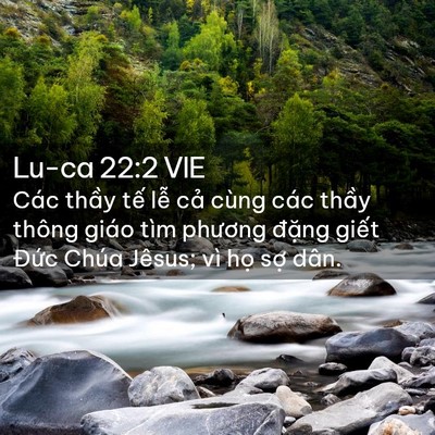 Picture 02 - Lu-ca 22:2 VIE - Các thầy tế lễ cả cùng các thầy - Bible Verse Picture