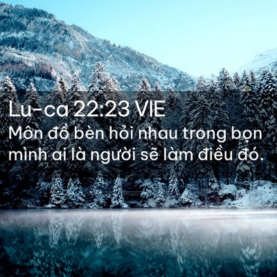 Picture 02 - Lu-ca 22:23 VIE - Môn đồ bèn hỏi nhau trong bọn mình ai - Bible Verse Picture