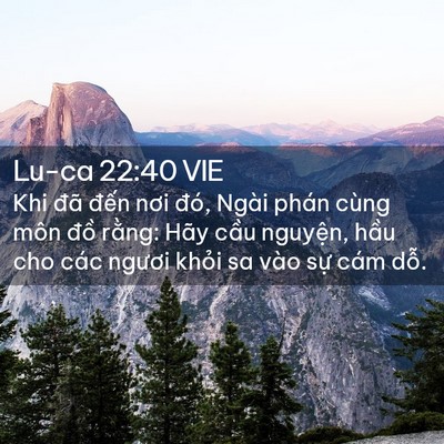 Picture 02 - Lu-ca 22:40 VIE - Khi đã đến nơi đó, Ngài phán cùng môn - Bible Verse Picture