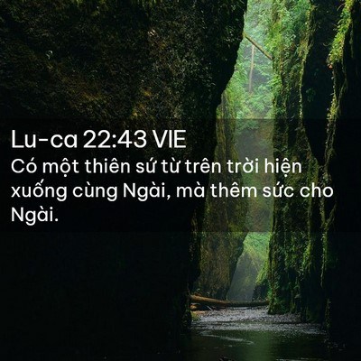 Picture 02 - Lu-ca 22:43 VIE - Có một thiên sứ từ trên trời hiện - Bible Verse Picture