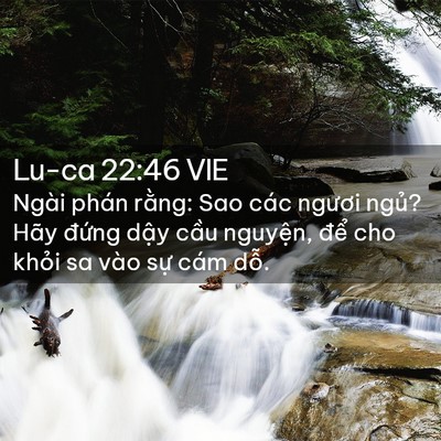 Picture 02 - Lu-ca 22:46 VIE - Ngài phán rằng: Sao các ngươi ngủ? Hãy - Bible Verse Picture