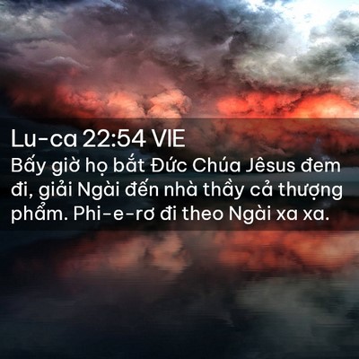 Picture 02 - Lu-ca 22:54 VIE - Bấy giờ họ bắt Đức Chúa Jêsus đem - Bible Verse Picture