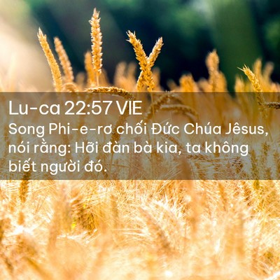 Picture 02 - Lu-ca 22:57 VIE - Song Phi-e-rơ chối Đức Chúa Jêsus, nói - Bible Verse Picture