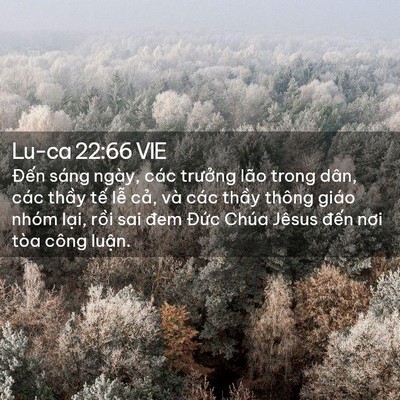 Picture 02 - Lu-ca 22:66 VIE - Đến sáng ngày, các trưởng lão trong - Bible Verse Picture