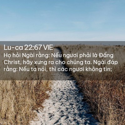 Picture 02 - Lu-ca 22:67 VIE - Họ hỏi Ngài rằng: Nếu ngươi phải là - Bible Verse Picture