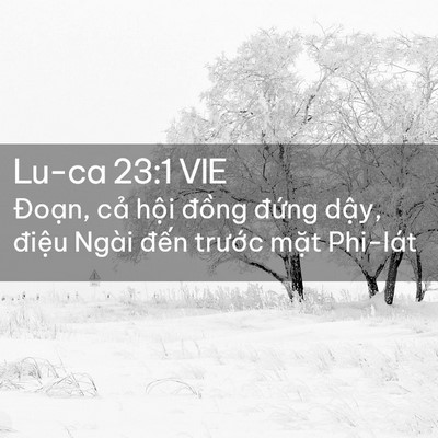 Picture 02 - Lu-ca 23:1 VIE - Đoạn, cả hội đồng đứng dậy, - Bible Verse Picture