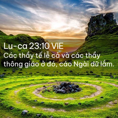 Picture 02 - Lu-ca 23:10 VIE - Các thầy tế lễ cả và các thầy thông - Bible Verse Picture