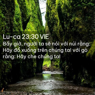 Picture 02 - Lu-ca 23:30 VIE - Bấy giờ, người ta sẽ nói với núi - Bible Verse Picture
