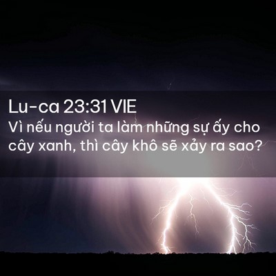 Picture 02 - Lu-ca 23:31 VIE - Vì nếu người ta làm những sự ấy cho - Bible Verse Picture
