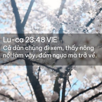 Picture 02 - Lu-ca 23:48 VIE - Cả dân chúng đi xem, thấy nông nổi làm - Bible Verse Picture
