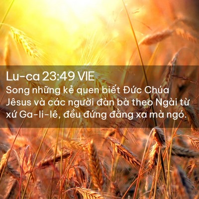 Picture 02 - Lu-ca 23:49 VIE - Song những kẻ quen biết Đức Chúa Jêsus - Bible Verse Picture