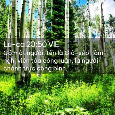 Picture 02 - Lu-ca 23:50 VIE - Có một người, tên là Giô-sép, làm - Bible Verse Picture