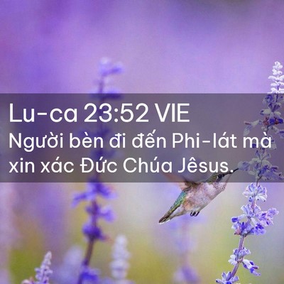 Picture 02 - Lu-ca 23:52 VIE - Người bèn đi đến Phi-lát mà xin xác - Bible Verse Picture
