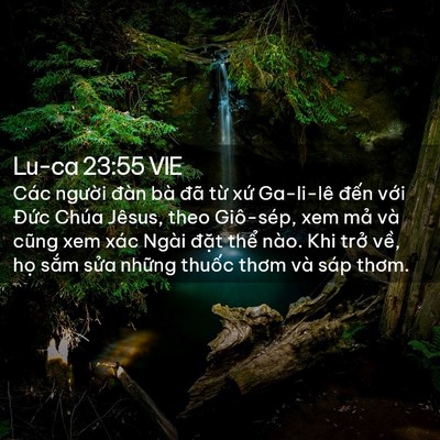 Picture 02 - Lu-ca 23:55 VIE - Các người đàn bà đã từ xứ Ga-li-lê - Bible Verse Picture