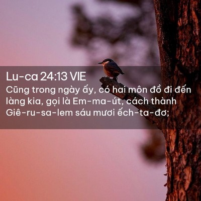 Picture 02 - Lu-ca 24:13 VIE - Cũng trong ngày ấy, có hai môn đồ đi - Bible Verse Picture