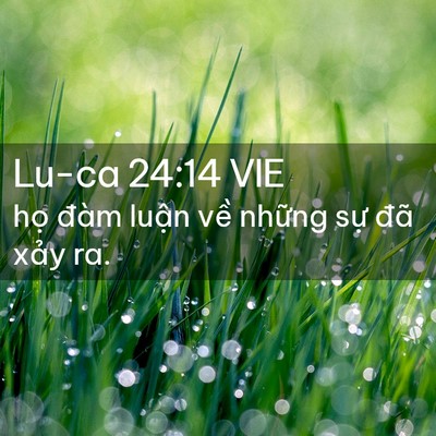Picture 02 - Lu-ca 24:14 VIE - họ đàm luận về những sự đã xảy - Bible Verse Picture