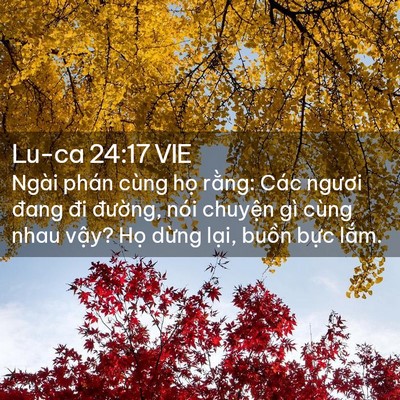 Picture 02 - Lu-ca 24:17 VIE - Ngài phán cùng họ rằng: Các ngươi đang - Bible Verse Picture
