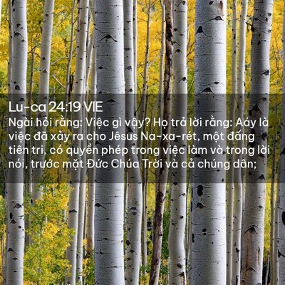 Picture 02 - Lu-ca 24:19 VIE - Ngài hỏi rằng: Việc gì vậy? Họ trả - Bible Verse Picture