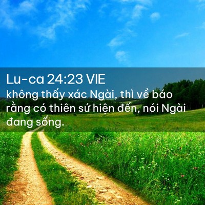 Picture 02 - Lu-ca 24:23 VIE - không thấy xác Ngài, thì về báo rằng - Bible Verse Picture