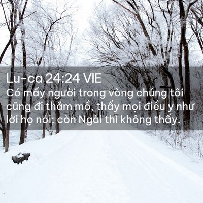 Picture 02 - Lu-ca 24:24 VIE - Có mấy người trong vòng chúng tôi cũng - Bible Verse Picture